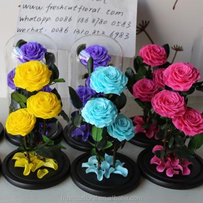 China Natural Touch And Fashion Preserved Roses Wholesale Preserved Stem Roses In Yunnan Glass Dome for sale