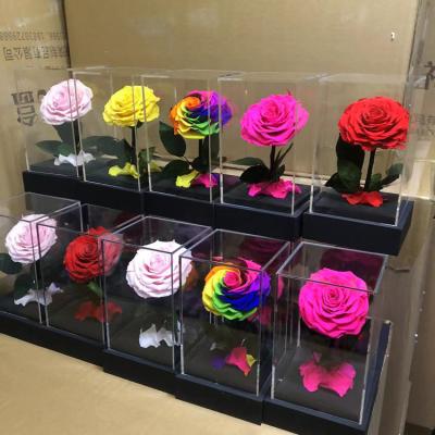 China Home Decorative Natural Eternal Wedding Celebration Long Single Stem Acrylic Box Preserved Stem Rose for sale