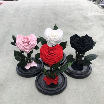 China Hot Selling Real Touch Real Touch Eternal And Natural Preserved Rose In Glass Dome With Black Gift Box for sale