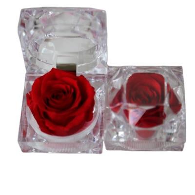 China Fashion 2021 Natural Eternal Touch And Rose Preserved Rose In Ring Box Rose Forever Ring Box Acrylic Stabilized Glass Rose For valentine's day for sale