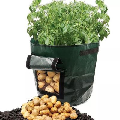 China Recyclable Custom Size 7 10 15 Gallon PE Cloth Around Plant Eco Friendly Nursery Bags Potato Mushroom Culture Grow Bag for sale