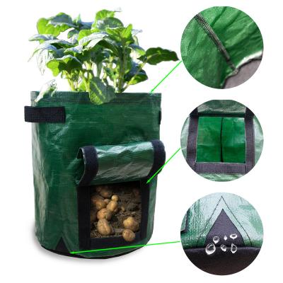 China Green felt 4 gallon large size recyclable potato growing bag heavybduty pe large grow bag for sale