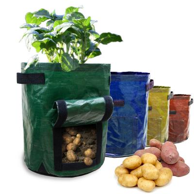 China 15 Gallon Recyclable Geotextile Custom Breathable Potato Pe Planting To Grow Bags for sale