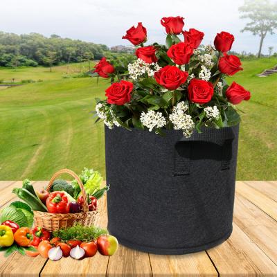 China Recyclable Heavy Duty Biodegradable Tree Bag Plant 100 Gallon Strong Bag Planting Pot for sale