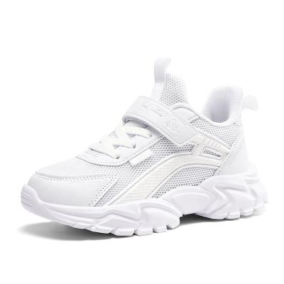 China Lightweight White Children's Spring Shoes and Autumn New Breathable Casual Mesh Children's Sports Running Shoes for sale