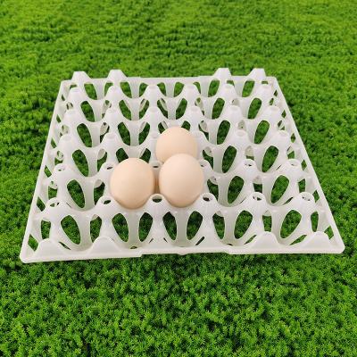 China Reusable Agriculture Egg Tray With 30 Holes Rectangular Shape For Safe Transport In Carton for sale