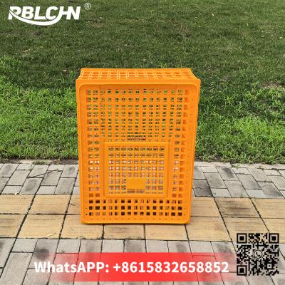 China Adjustable Poultry Transport Cages for Flexible Poultry Management raising chickens Poultry turnover box for sale