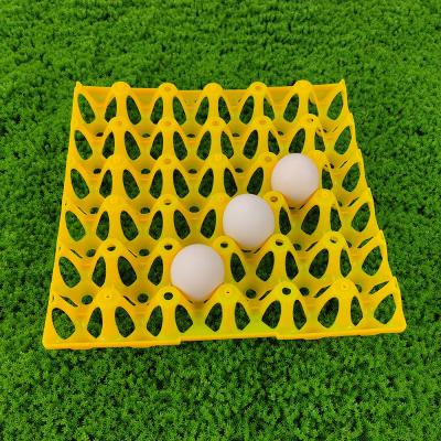 China plastic egg contaProtective Egg Tray Keep Your Eggs Safe During Transportation egg tray plastic egg tray molding machine for sale