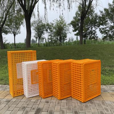 China Plastic Hygiene Security Chicken Transport Crates for sale