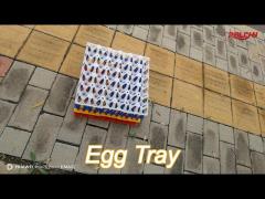 versatile sturdy reusable plastic egg cartons egg packing