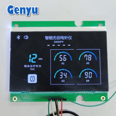 Cina 4.8V VA LCD Modulo LCM Segmenti di colore nero per apparecchiatura di elettoacupunzione in vendita