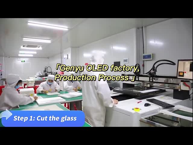 Genyu OLED factory