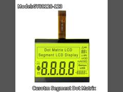 Customized COG LCD Display Dot Matrix Liquid Crystal Display FSTN Transflective