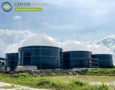 Cina Contenitori di biogas a doppia membrana ecologici per progetti agricoli di biogas in vendita