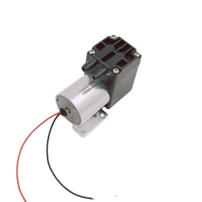 China Automotive Industry 24V DC 50kpa Pressure Brushless DC Motor for sale