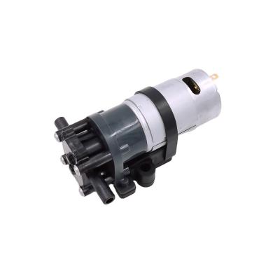 China Hot Sale DC Brush Excellent Quality DC Brush 12v Water Gear Pump for sale