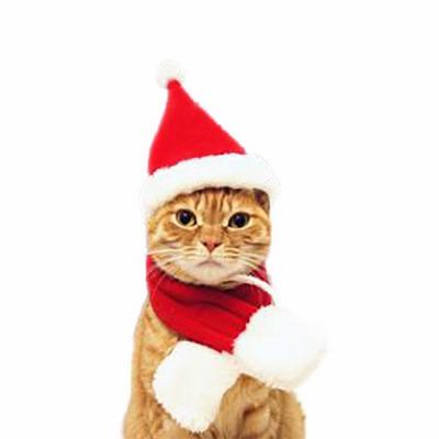 China Stocked Pet Designer Clothes Christmas Cute Pet Clothes For Cats for sale