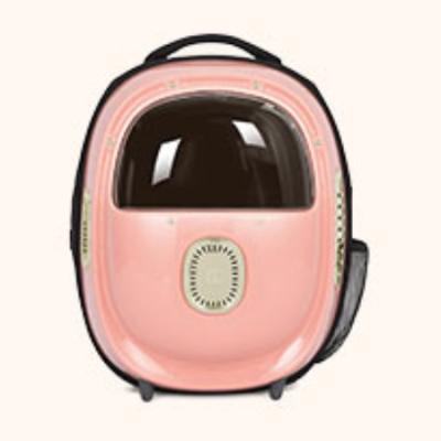 China Breathable Professional Large Space Self-ventilating Back Panel Foldable Pet Travel Carrier Backpack Bag for sale