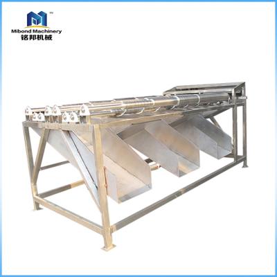 China Factory with best quality line roller fruit sorter auger belt choosing Conveyo for sale