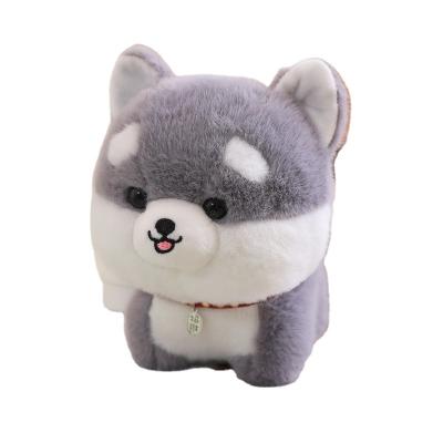 China Factory Wholesale Cute Plush Toy Chiba Dog Doll Stuffed Plush Animal Toy 25cm for sale