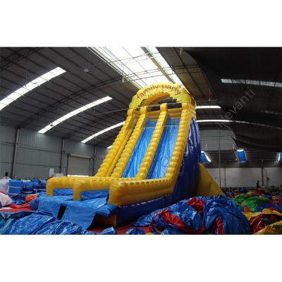 China Unisex Custom Logo Printed Commercial Inflatable Water Slide for Giant Water Fun for sale