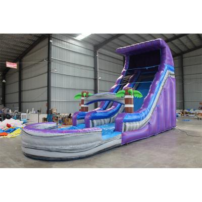 China Unisex húmedo seco amarillo palma tropical comercial tobogán de agua inflable con piscina en venta