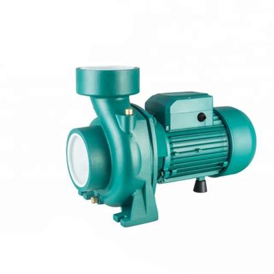 China 110V/220V/380V Agriculture Irrigation and Irrigation Pumps 4HP Max Flow Water Centrifugal Pump for sale