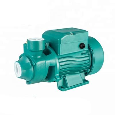 China Qb60 Qb70 Qb80 0.5hp Family Houses Vortex Pump Peripheral Water Pump for sale