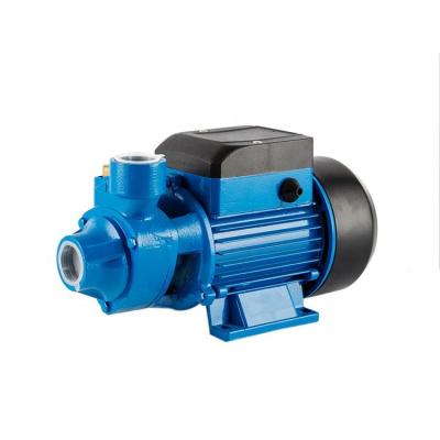 China Single Family Homes High Performance Qb60 110v220v Small Peripheral AC Water Pump for sale