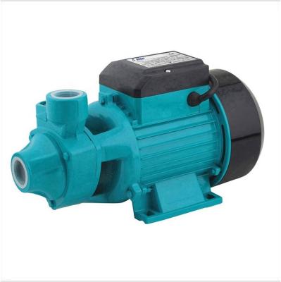 China Family Homes Factory Domestic Electric Clean Water Pump For Garden Use for sale