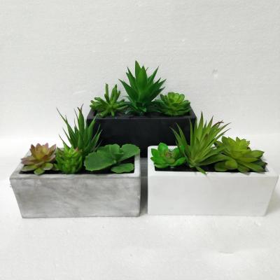 China Modern Empty Plant Pots Cement Flower Garden Outdoor Color Cement Flower Pot for sale