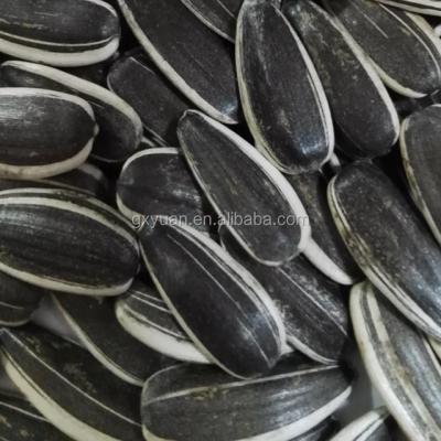 China Good quality dried sunflower seeds for sale