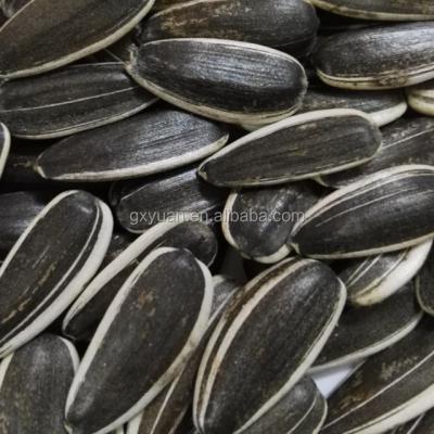 China Dried sunflower seeds for sale