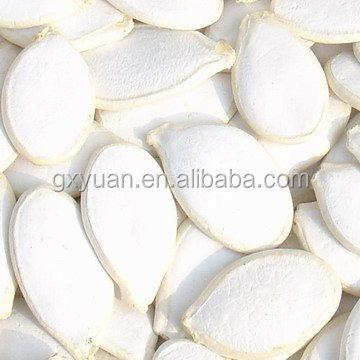 China New Chinese Cultivation Snow Dry White Pumpkin Seeds for sale