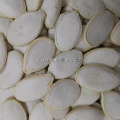 China Snow Dried White Pumpkin Seeds for sale