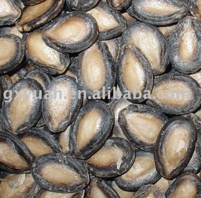 China Dried black melon seeds in the shell for sale