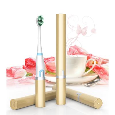 China Battery Powered Battery Powered Kang Yu Electric Toothbrush Home Use Removable Head for sale