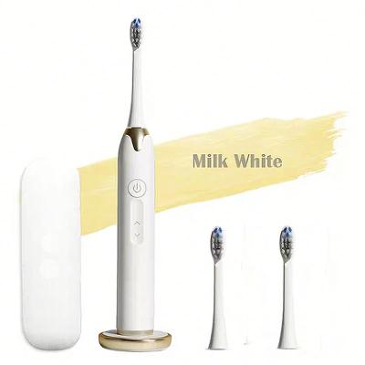 China Kang Yu Silicone Sonic Electric Battery Operated Toothbrush with Interdental Heads and Other Accessories for sale