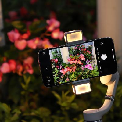 China Mini For Osmo Se 5 4 Dual Moving Two Way Arm Led Light Video Fill Selfie To Fill Charging Case Lightweight Portable Phone Holder for sale