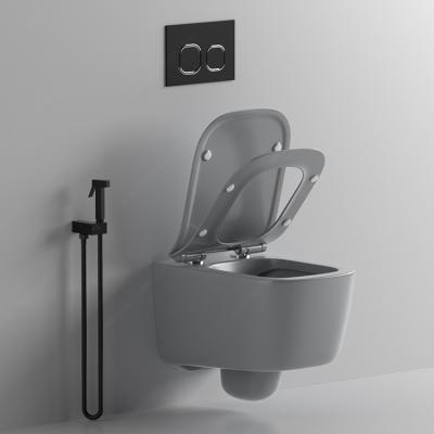 China Hidden Cistern Matte Gray Wall Hung Water Tank WC Toilet Sanitario Hidden Wall Hung Mounted Toilet Bowl for sale