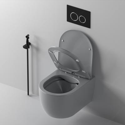 China Factory Supply High Grade Concealed Toilet Cistern Rimless Flush Oval Concealed Concealed Wall Mounted One Piece Toilet for sale