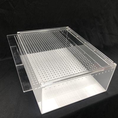 China Breathable Wholesale Acrylic Countertop Spiders Scorpions Snakes Cage Mini Animal Box Reptile Pet Display Greenhouse for sale