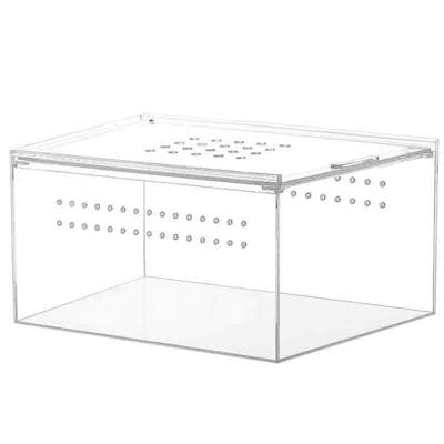 China Wholesale Viable Clear Mini Pet Box Acrylic Insects Reptile Greenhouse With Magnetic Lid Closure for sale