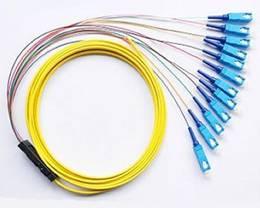 Cina 4, 6, 8, 12, 24, treccia ottica della multi-fibra facoltativa del nastro di 48 fibre per la telecomunicazione in vendita