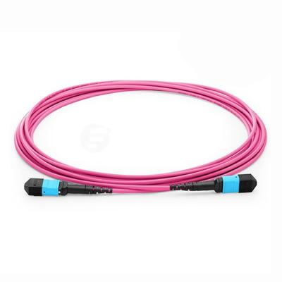 Chine 24 corrections optiques de fibre de la manière MPO MTP 40G 100G SFP OM4 attachent les 10m violets à vendre