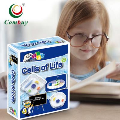 China Experiment Cell Model Chemical Set Educational Science Toys 22.5*16.5*6.0 Cm for sale