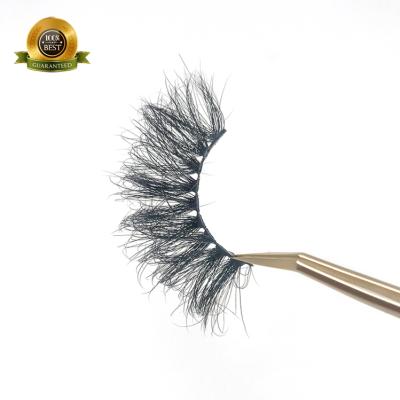 China factory custom wholesale Logo Colored Mink Eyelash Extension new natural soft 3D promotion in China for sale