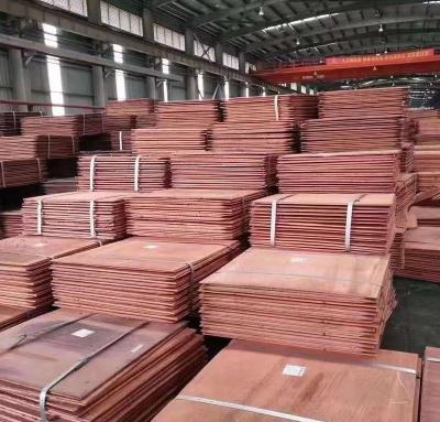 China High purity mining copper cathode copper cathode / china supplier copper plate in stock for sale