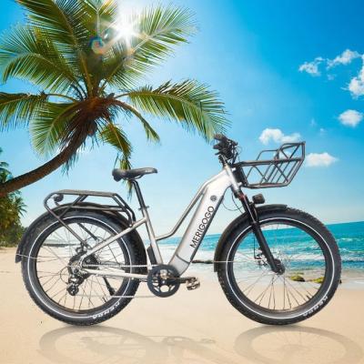 China Best quality fat tire mountain e bike 26