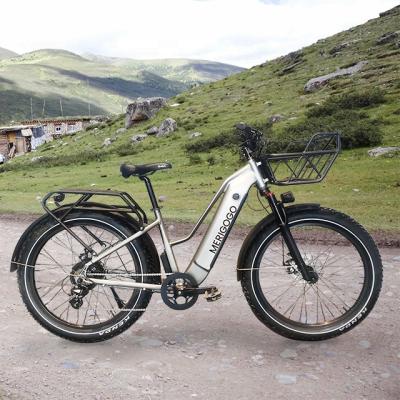 China Multifunctional PRE ORDER cheap e bikes go bicycle 48v electric bike women's electric e bicycle folding fat tire for sale